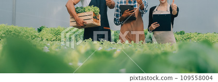 Young Asian woman and senior man farmer working together in organic hydroponic salad vegetable farm. Modern vegetable garden owner using digital tablet inspect quality of lettuce in greenhouse garden. 109558004
