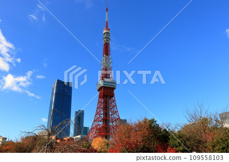 Tokyo Tower with the new Azabu Hills building as seen from Shiba Park in Tokyo Japan with a blue sky Tokyo Tower with the new Azabu Hills building as seen from Shiba Park in Tokyo Japan with a blue sky 109558103