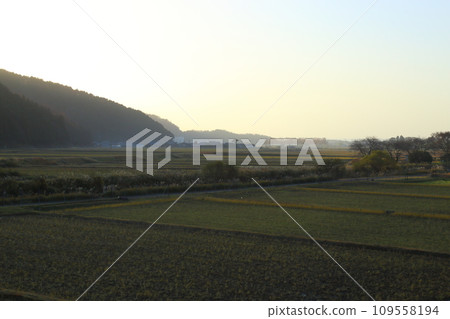 縣道287號水杉林蔭道東側【滋賀縣高島市牧野町】 縣道287號水杉林蔭道東側【滋賀縣高島市牧野町】 109558194