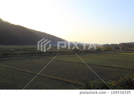 縣道287號水杉林蔭道東側【滋賀縣高島市牧野町】 109558195