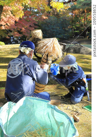 園丁正在整理稻草 109558652