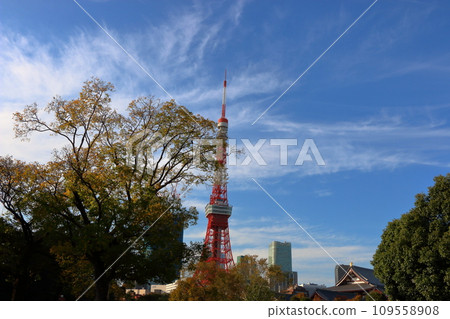 Tokyo tower seen from a distance from Shiba park in minatoku tokyo japan with clouds in a blue sky Tokyo tower seen from a distance from Shiba park in minatoku tokyo japan with clouds in a blue sky 109558908