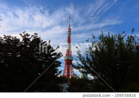 Tokyo tower seen from a distance from Shiba park in minatoku tokyo japan with clouds in a blue sky 109558918