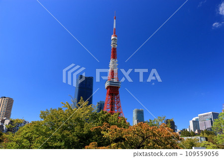 the iconic tokyo tower as seen from shiba park, shiba koen, in minatoku tokyo japan with a blue sky 109559056