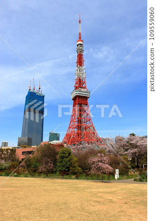 the iconic tokyo tower as seen from shiba park, shiba koen, in minatoku tokyo japan with a blue sky the iconic tokyo tower as seen from shiba park, shiba koen, in minatoku tokyo japan with a blue sky 109559060