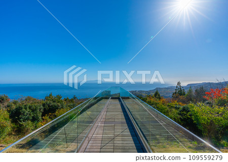 小室山展望台伊豆 小室山展望台伊豆 109559279