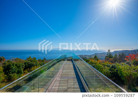 小室山展望台伊豆 109559287