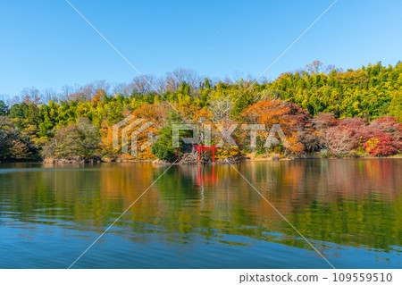 Lake Ippekiko, autumn leaves, Izu, Ito Lake Ippekiko, autumn leaves, Izu, Ito 109559510