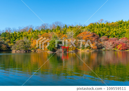 Lake Ippekiko, autumn leaves, Izu, Ito Lake Ippekiko, autumn leaves, Izu, Ito 109559511