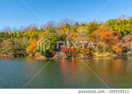 Lake Ippekiko, autumn leaves, Izu, Ito 109559513