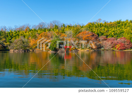 Lake Ippekiko, autumn leaves, Izu, Ito Lake Ippekiko, autumn leaves, Izu, Ito 109559527