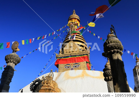 斯瓦揚布納特寺 109559990