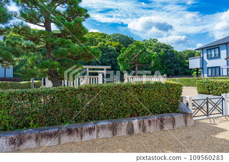 大阪府藤井寺市,第十九代天皇康京,江賀長野北陵 大阪府藤井寺市,第十九代天皇康京,江賀長野北陵 109560283