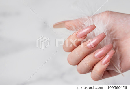 Female hands with pink nail design hold a feather Female hands with pink nail design hold a feather 109560456