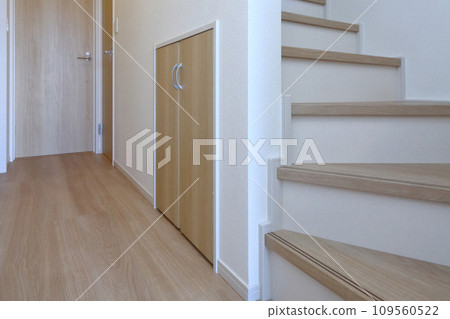 Storage under stairs Storage under stairs 109560522