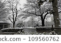 Monochrome trees and snow 109560762