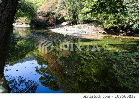 秋天的栗林公園(香川縣高松市,米其林★★★)拍攝於2023年秋天 秋天的栗林公園(香川縣高松市,米其林★★★)拍攝於2023年秋天 109560832