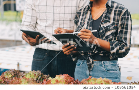 Two Asian farmers inspecting the quality of organic vegetables grown using hydroponics. Two Asian farmers inspecting the quality of organic vegetables grown using hydroponics. 109561084