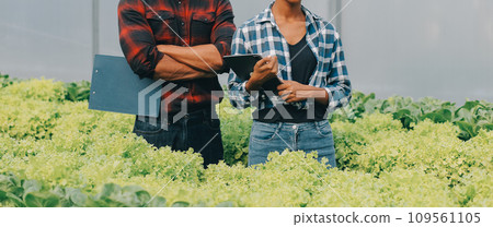 Two Asian farmers inspecting the quality of organic vegetables grown using hydroponics. Two Asian farmers inspecting the quality of organic vegetables grown using hydroponics. 109561105