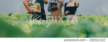 Two Asian farmers inspecting the quality of organic vegetables grown using hydroponics. 109561161
