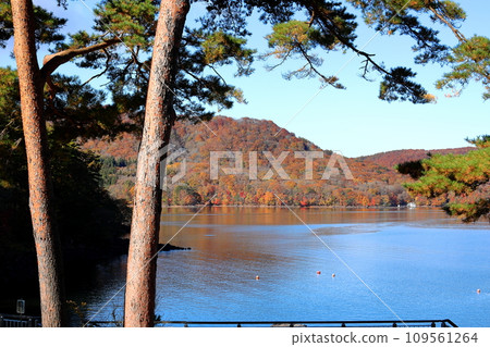 Autumn leaves in Urabandai Lake Hinohara Autumn leaves in Urabandai Lake Hinohara 109561264