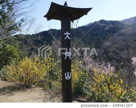 大內澤花桃之裡(埼玉縣東秩父村) 大內澤花桃之裡(埼玉縣東秩父村) 109561267
