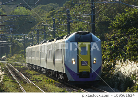 室蘭本線電氣化區間運行的特急北斗號 北斗 Kiha 261 系列 Kiha 261 109561624