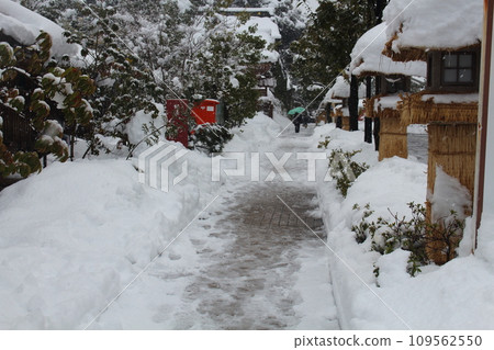 Kaga Onsen in midwinter full of elegance Kaga Onsen in midwinter full of elegance 109562550