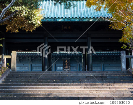 Scenery of Yushima Cathedral in late autumn, stone steps and Kyodomon gate, Yushima, Bunkyo-ku, Tokyo Scenery of Yushima Cathedral in late autumn, stone steps and Kyodomon gate, Yushima, Bunkyo-ku, Tokyo 109563050