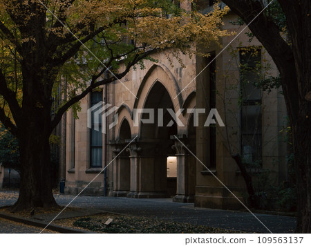 The University of Tokyo main campus in late autumn 109563137