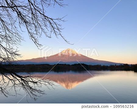 Lake Tanuki and Mt. Fuji at dusk Lake Tanuki and Mt. Fuji at dusk 109563216