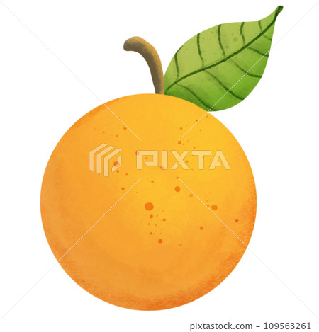 Painting of oranges for worshiping at the Chinese New Year festival 109563261