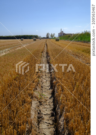 dry and cracked land drought climate problem, affects agriculture. dry and cracked land drought climate problem, affects agriculture. 109563467