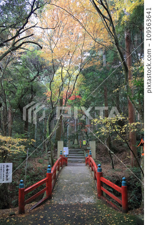 Goyuryugi Bridge at the entrance to the precincts of Nishiyama Koryu-ji Temple, the 10th temple of Shikoku's 20 sacred sites, a famous spot for autumn leaves Goyuryugi Bridge at the entrance to the precincts of Nishiyama Koryu-ji Temple, the 10th temple of Shikoku's 20 sacred sites, a famous spot for autumn leaves 109563641