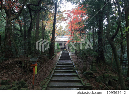 Niomon Gate of Nishiyama Koryuji Temple, the 10th Temple of the 20 Best Sacred Sites in Shikoku, a famous spot for autumn leaves 109563642