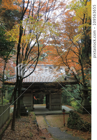 四國20處特別聖地第10位的西山廣隆寺、紅葉名勝二王門（從二王門的參道上拍攝的照片） 109563655