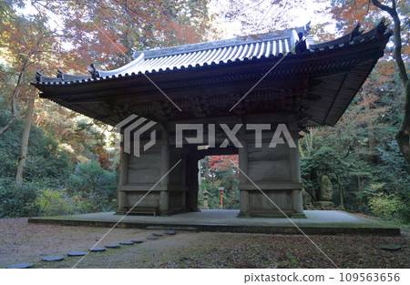 紅葉名勝、四國二十聖地第十名的西山廣隆寺二王門(從二王門背面拍攝) 紅葉名勝、四國二十聖地第十名的西山廣隆寺二王門(從二王門背面拍攝) 109563656