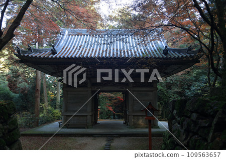 紅葉名勝、四國二十聖地第十名的西山廣隆寺二王門（從二王門背面拍攝） 109563657