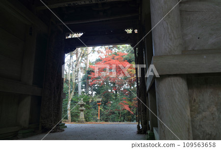 紅葉名勝、四國二十聖地第十名的西山廣隆寺二王門（從二王門背面拍攝） 109563658