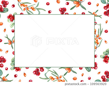 Horizontal frame with sea buckthorn and cowberry. Branches of cranberry and sandthorn. Red and orange berries, green leaves. Copy space for text. Watercolor illustration for package, label, postcard. 109563920