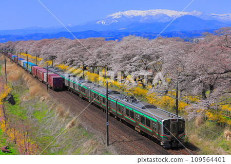 乍一看Senbonzakura 109564401