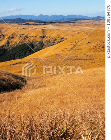 Daikanbo, Aso in autumn, golden grassland Daikanbo, Aso in autumn, golden grassland 109564770