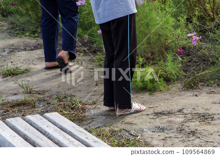 Women in the autumn cherry blossom field 109564869