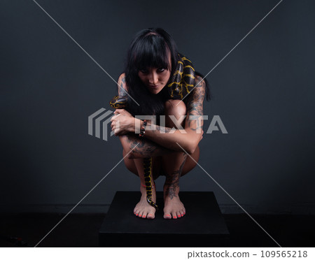 Photo of the brunette woman squatting with yellow anaconda Photo of the brunette woman squatting with yellow anaconda 109565218