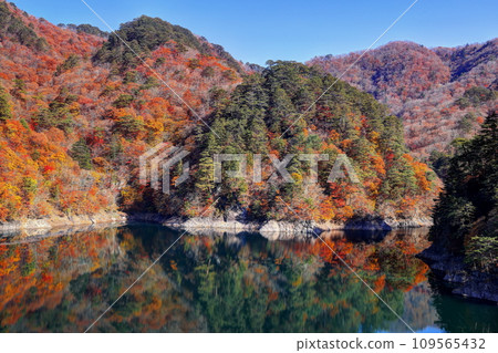 Autumn at Lake Kawamata Autumn at Lake Kawamata 109565432