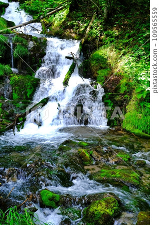 Shirokane Fudo Falls (Biei Town, Hokkaido) Shirokane Fudo Falls (Biei Town, Hokkaido) 109565559