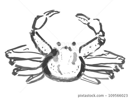 Snow crab Japanese style hand-drawn illustration (monochrome sumi-e) Snow crab Japanese style hand-drawn illustration (monochrome sumi-e) 109566023