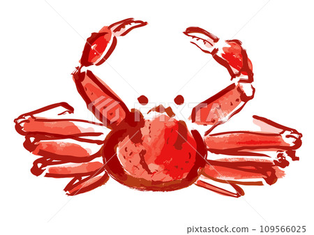 Snow crab Japanese style hand drawn illustration Snow crab Japanese style hand drawn illustration 109566025