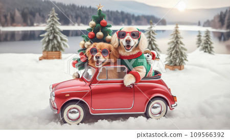 Christmas winter holiday background with a couple cute dog traveling by car. 109566392