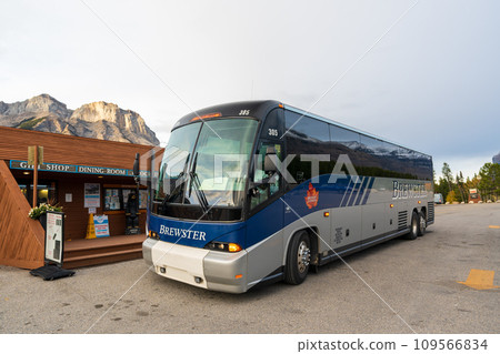 Alberta, Canada - Sep 28 2023 : Brewster Express Bus stopping in front of the Saskatchewan River Crossing resort shop. located on the Icefields Parkway in Banff National Park. 109566834